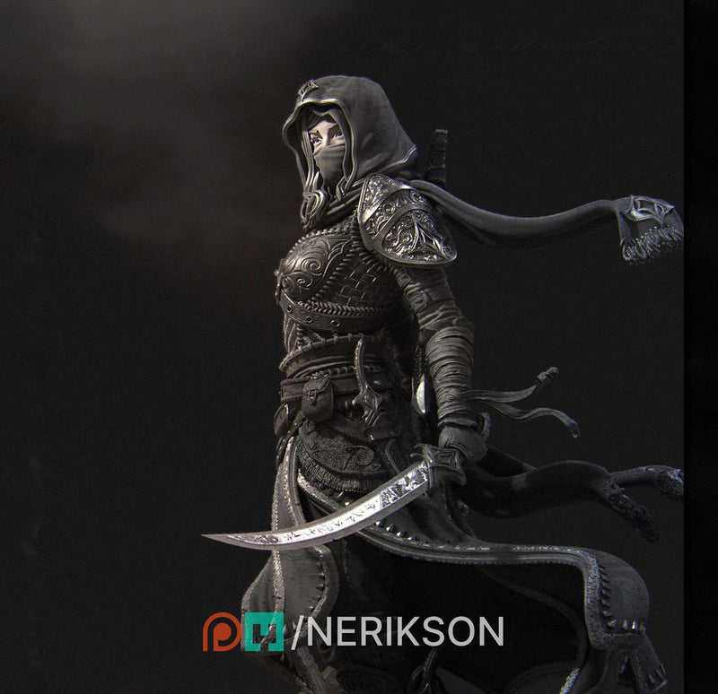 Human Female Rogue, Assassin, also No Mask PC / NPC DnD, Unpainted | 6 Sizes/Scales - Only-Games