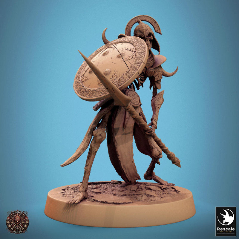 Skeleton Persian Warrior Spear and Shield | Undead Unpainted miniature DnD | 28mm, 32mm, 54mm, 75mm,100mm | Pathfinder | Rescale Miniatures - Only-Games