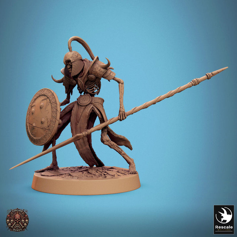 Skeleton Persian Warrior Spear and Shield | Undead Unpainted miniature DnD | 28mm, 32mm, 54mm, 75mm,100mm | Pathfinder | Rescale Miniatures - Only-Games
