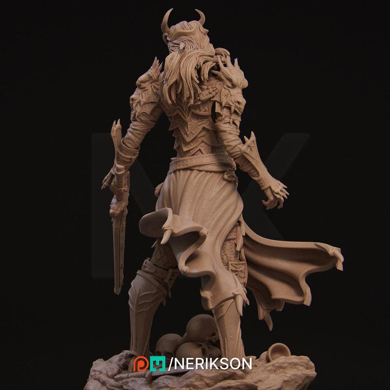 Human Female Hexblade Warlock, Oathbreaker Paladin PC/ NPC Unpainted | 6 Sizes /Scales | D&D - Only-Games