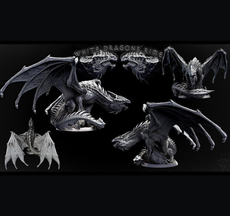 Legendary Chromatic White Dragon (4 sizes) D&D Unpainted Miniature | 231mm Wing Span | Resin Figurine | Dungeons and Dragons 5e Pathfinder - Only-Games