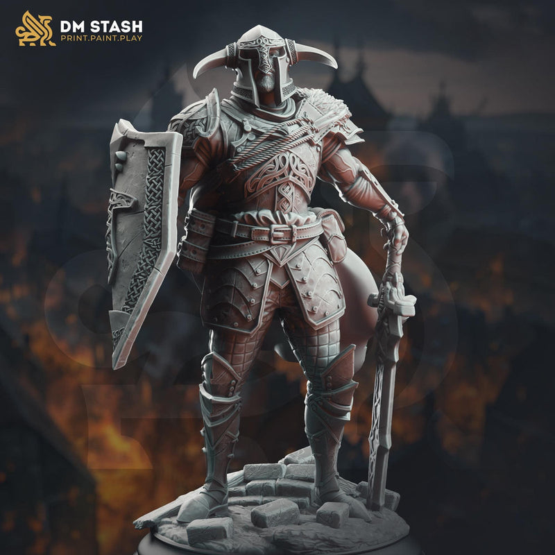 Human Paladin Fighter Sword & Shield | Miniature | 28mm, 32mm, 54mm,75mm, 100mm Scales | Pathfinder Figure | DnD | Figurine unpainted | - Only-Games