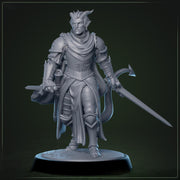 Tiefling Paladin Fighter Ranger PC / NPC | 5 Sizes /Scales | Player Character Mini -DnD Pathfinder - Only-Games