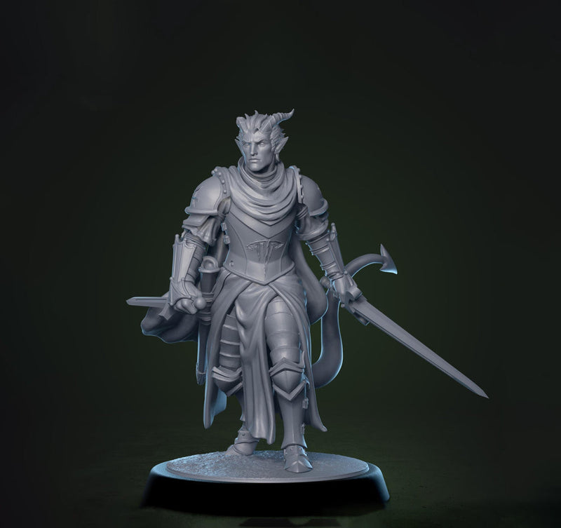 Tiefling Paladin Fighter Ranger PC / NPC | 5 Sizes /Scales | Player Character Mini -DnD Pathfinder - Only-Games