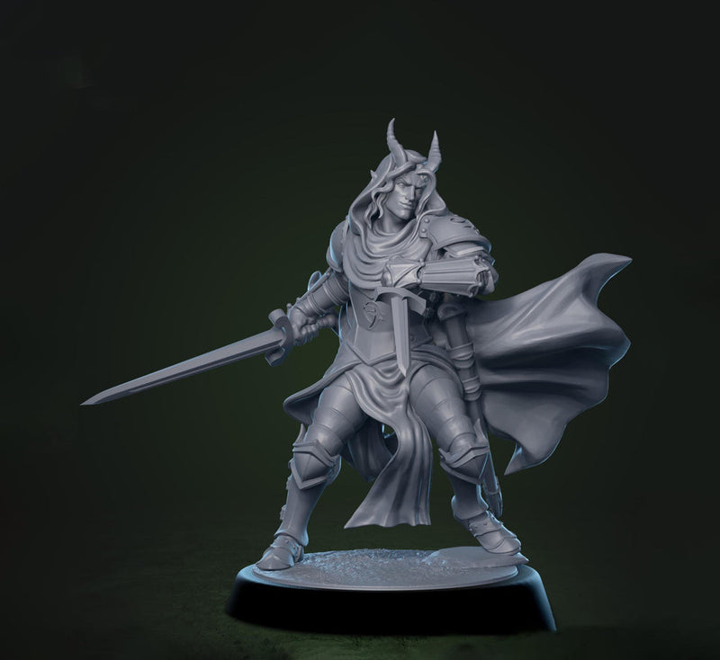 Tiefling Paladin Fighter Ranger PC / NPC | 5 Sizes /Scales | Player Character Mini -DnD Pathfinder - Only-Games