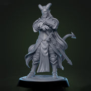 Tiefling Paladin Fighter Ranger PC / NPC | 5 Sizes /Scales | Player Character Mini -DnD Pathfinder - Only-Games