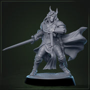 Tiefling Paladin Fighter Ranger PC / NPC | 5 Sizes /Scales | Player Character Mini -DnD Pathfinder - Only-Games