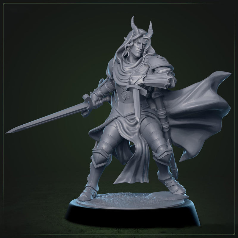 Tiefling Paladin Fighter Ranger PC / NPC | 5 Sizes /Scales | Player Character Mini -DnD Pathfinder - Only-Games
