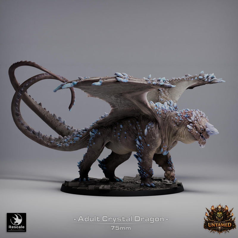 Adult Crystal Dragon UNPAINTED Miniature D&D 5e Pathfinder Gem Dragon 4 Sizes - Only-Games