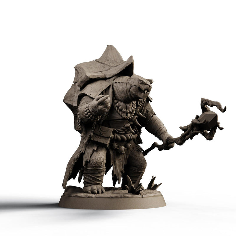 Turtlefolk Druid Miniature | Ravel Sylcarax | Resin RPG Figure - Only-Games