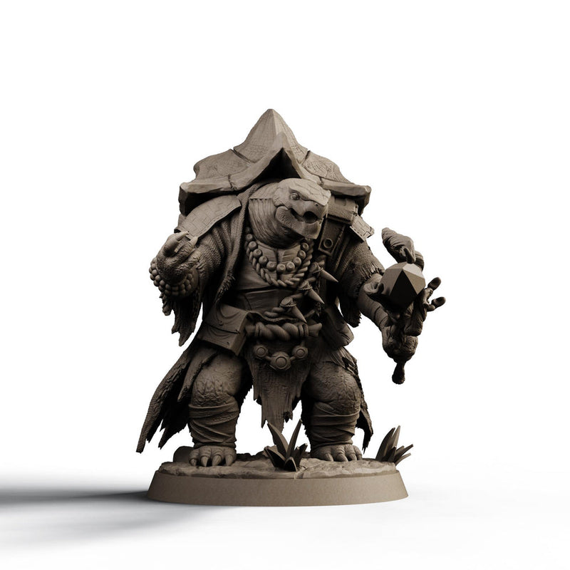 Turtlefolk Druid Miniature | Ravel Sylcarax | Resin RPG Figure - Only-Games
