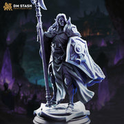 Dark Elf Miniature | Fighter Paladin Knight with Shield | UNPAINTED Resin DnD Pathfinder - Only-Games