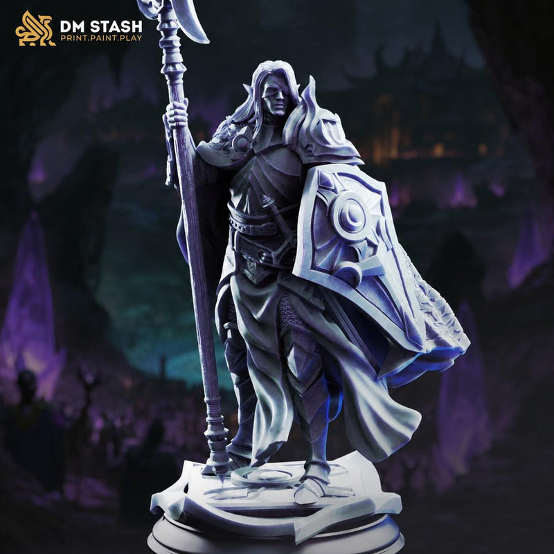 Dark Elf Miniature | Fighter Paladin Knight with Shield | UNPAINTED Resin DnD Pathfinder - Only-Games