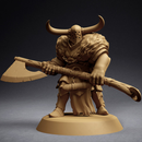 Ravagers of the North - Bundle - Only-Games