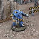 Mechadrome Terran Light Mech Bundle (15mm scale)