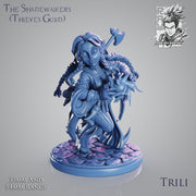 Trili - Female Gnome Thief - 54mm - Only-Games