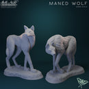 Beautiful Creatures Campaign Pack