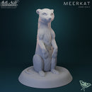 Meerkat | 32mm STL