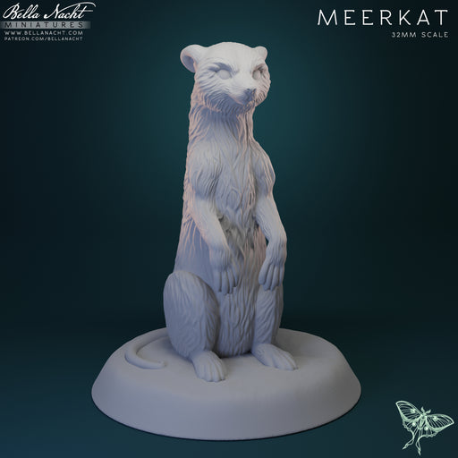 Meerkat | 32mm STL - Only-Games