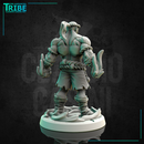 (0240) Male human elf firbolg tiefling half orc muay thai fighter monk shaolin - Only-Games