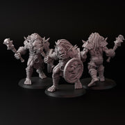 Shadow Orcs (3 models9 - Only-Games