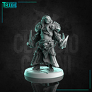 (0307) Male lion folk felinid monk