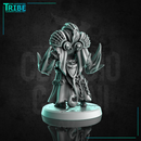 (0307) Male lion folk felinid monk