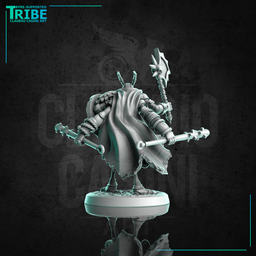 Male Insectoid (0257) Male insectoid barbarian warrior with shield axe and clubs ...