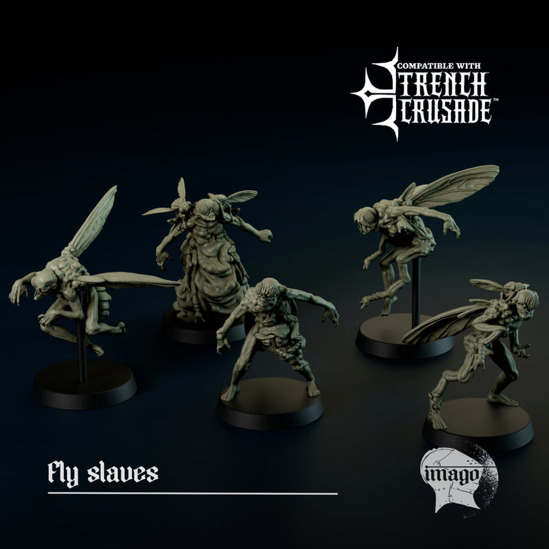 Fly slaves