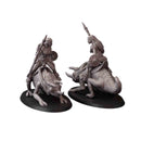 Quqa Amazon: CHameleon Riders