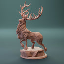 New Digital/Physical product