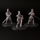 Royal Heart Guard (3 model) - Only-Games
