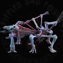 Skeleton War Machines