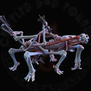Skeleton War Machines