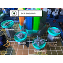 Kilkami Set 06: Sea Animals