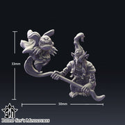 Goblin / Night Goblin Shamans - Only-Games