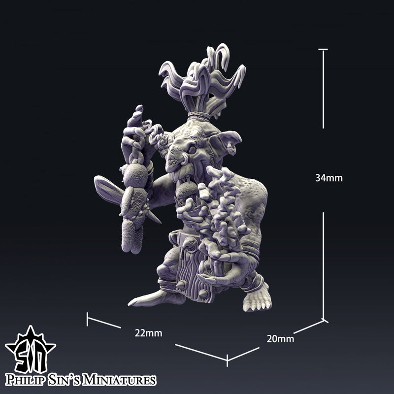 Goblin / Night Goblin Shamans - Only-Games