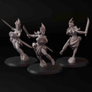 Quqa Amazon, Swordmasters (3 models)
