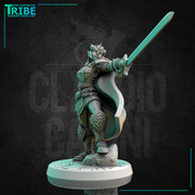 (0267) Female human elf tiefling firbolg half-orc paladin warrior commander with a cape complete armor and sword - Only-Games