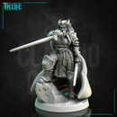 (0271) Female human tiefling firbolg half orc elf warrior paladin fighter with a swords and armor