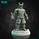 (0240) Male human elf firbolg tiefling half orc muay thai fighter monk shaolin - Only-Games