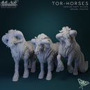 Beautiful Creatures Campaign Pack