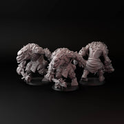 Trolls (3 models) - Only-Games