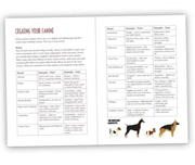 Unleashed - a solo/multi-player TTRPG - Only-Games