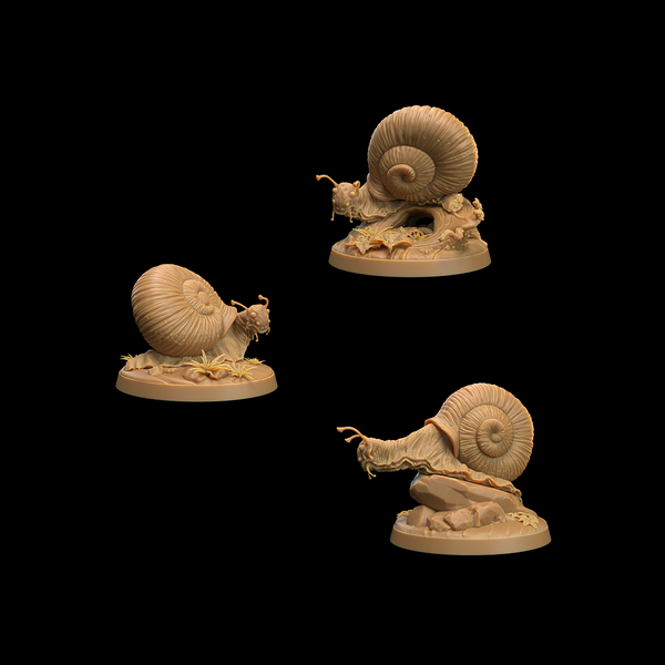 3 Large Snails | Mushroom Bayou - Only-Games