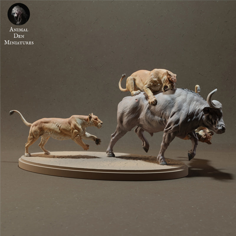 Lioness pack hunting a Buffalo 1/43 - Only-Games