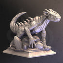 Silver Tailed Drake - Ekerin - Only-Games