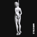 Silence Series 09 - Stripped & Hanged Prisoner Girl - Only-Games