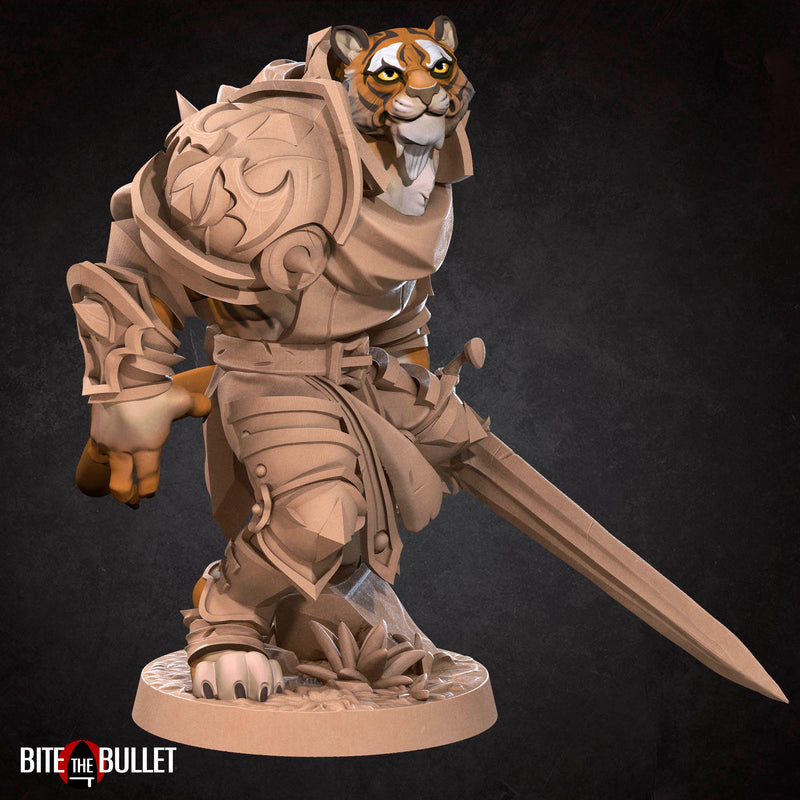 Tabaxi Paladin - Only-Games