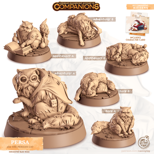 Persa (Persian Cat) - Only-Games